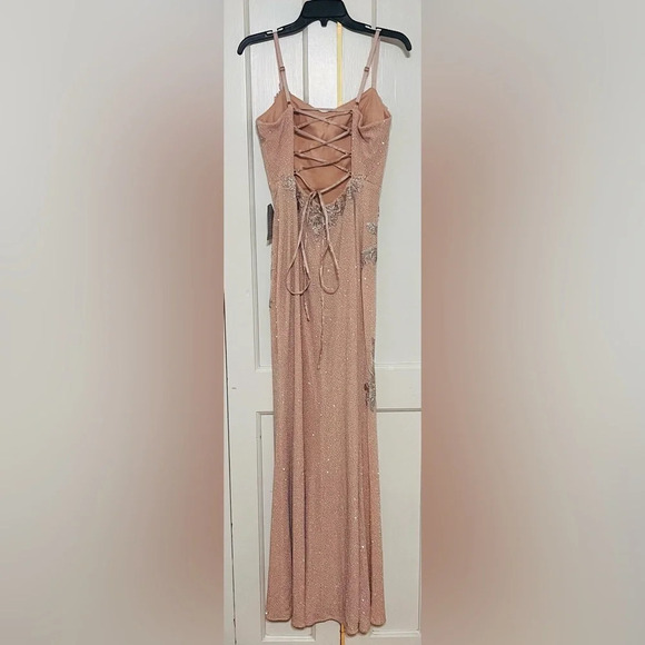 XSCAPE EMBELLISHED & EMBROIDERED GOWN IN BLUSH/ SILVER - Picture 8 of 12